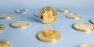 What are Meme Coins?