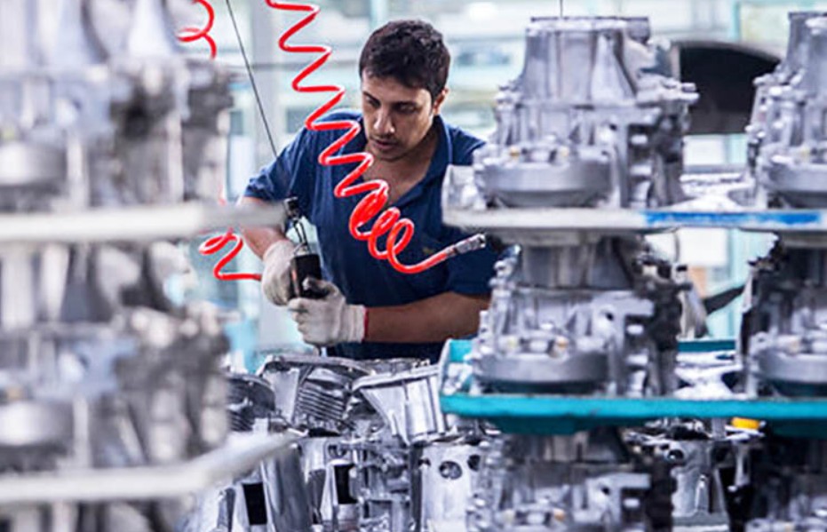Domestic Industries