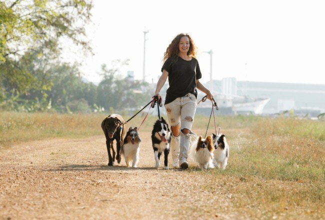How to Find and Secure First Dog Walking Clients