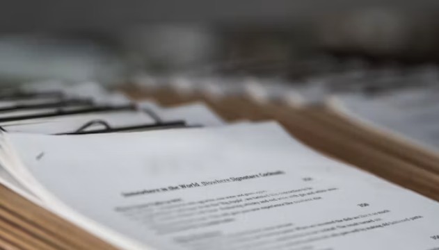 What Are the Required Documents to Start a Dog Walking Business