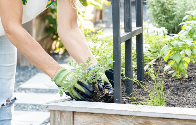How Much You Can Earn from Gardening Business