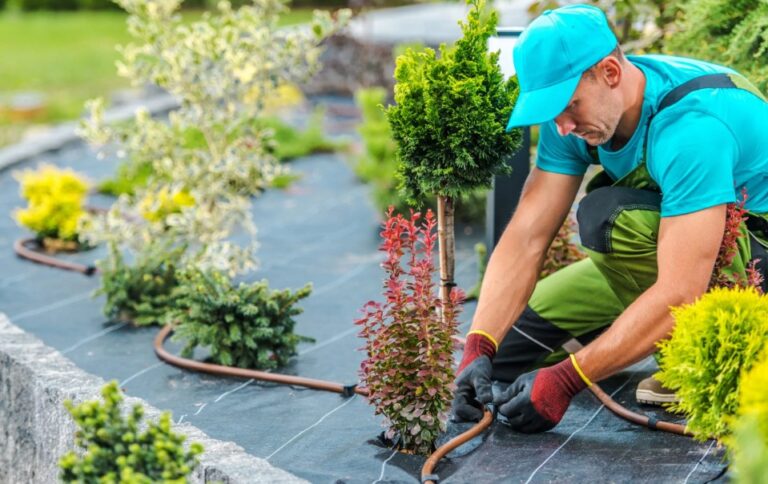 How much does it cost to start a Gardening Business