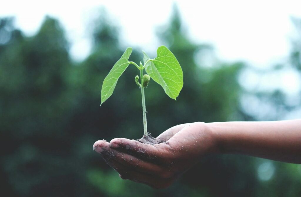 How to market your Gardening Business