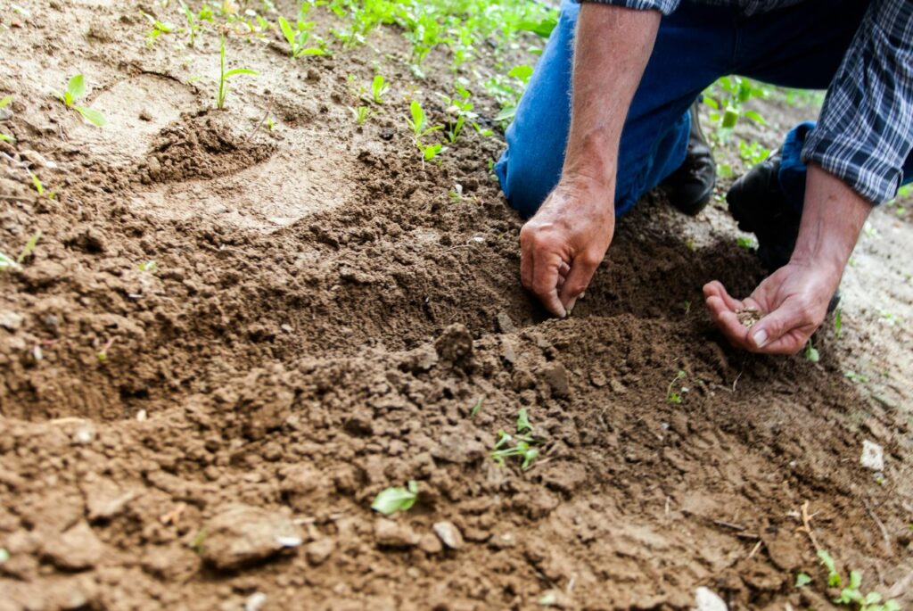 Introduction On How To Start a Gardening Business