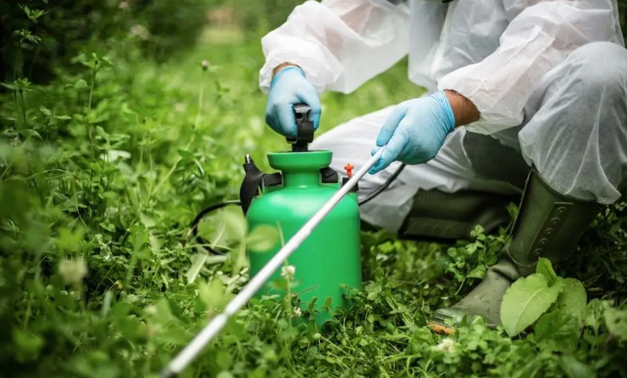 Pesticides and Chemicals Compliance