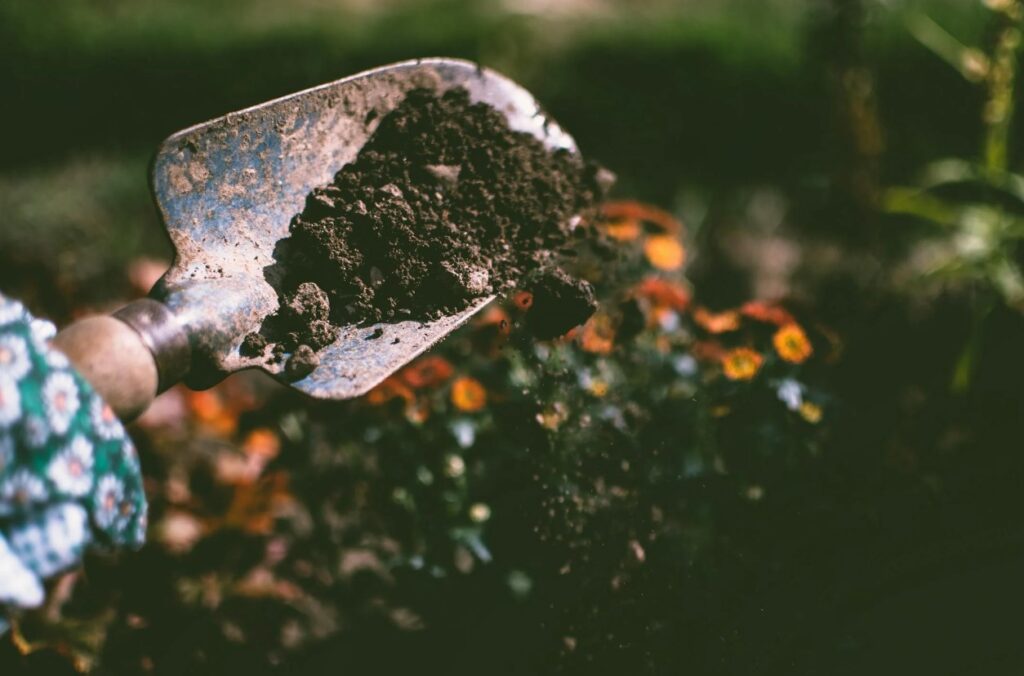 What kind of market research you need to do for Your Gardening Business