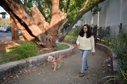 Dog Walking