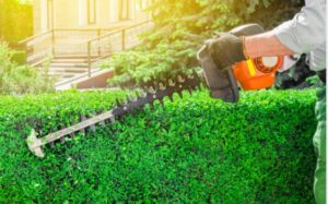 Gardening and Lawn Mowing