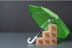 How Do You Cultivate Long-Term Growth and Stability