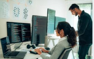IT Consultant Software Developer