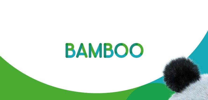 Bamboo Loans