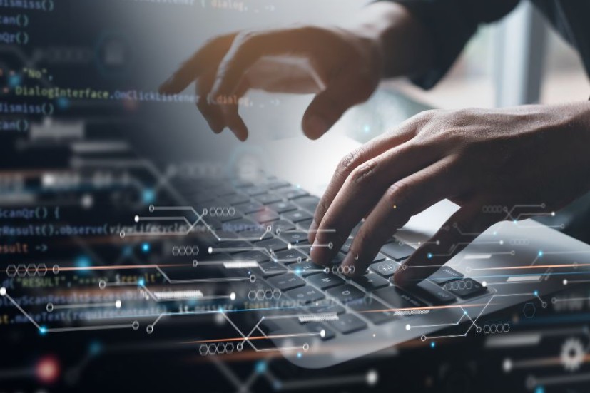 Technology & IT Sector