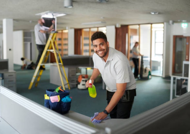 Domestic Cleaning Costs