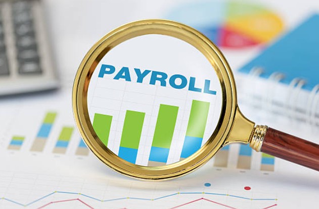 What Is a Payroll Number