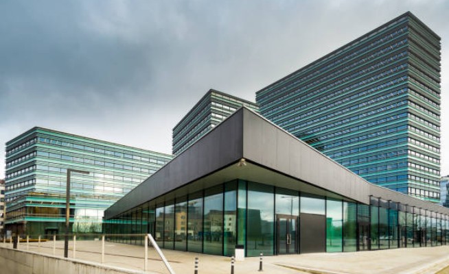 What is a private limited company
