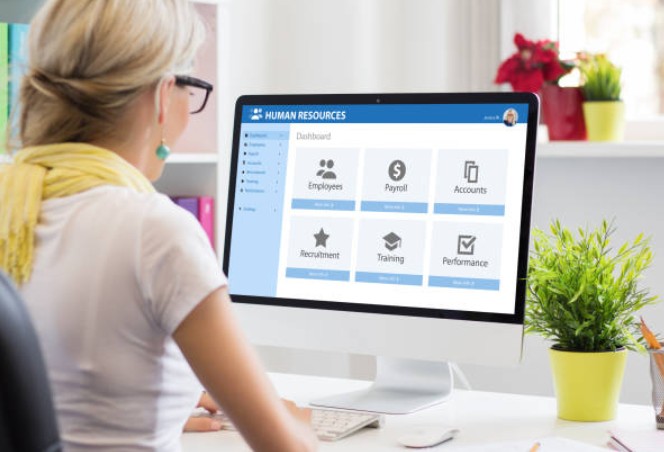How does HR software for small businesses work